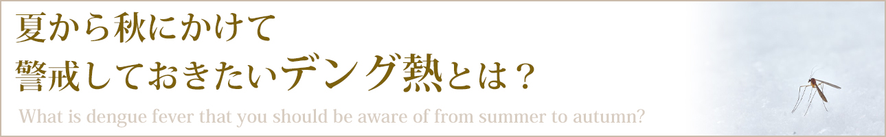 夏から秋にかけて警戒しておきたいデング熱とは？