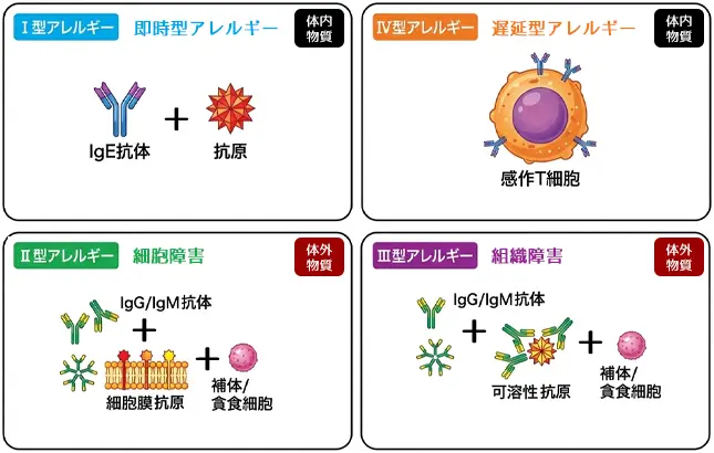 Ⅰ型〜Ⅳ型アレルギー