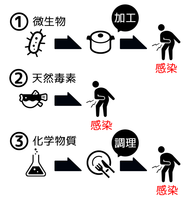 食中毒のメカニズム