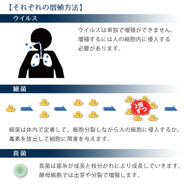 増殖方法の比較