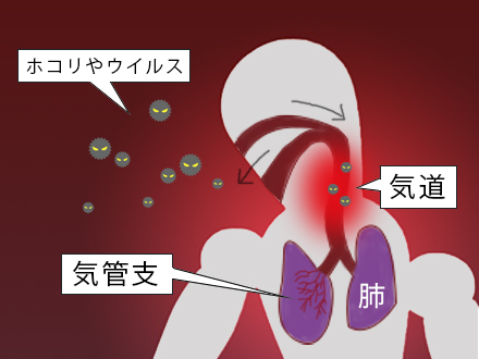 花粉症の仕組み